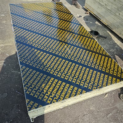 Ffilm yn wynebu pren haenog